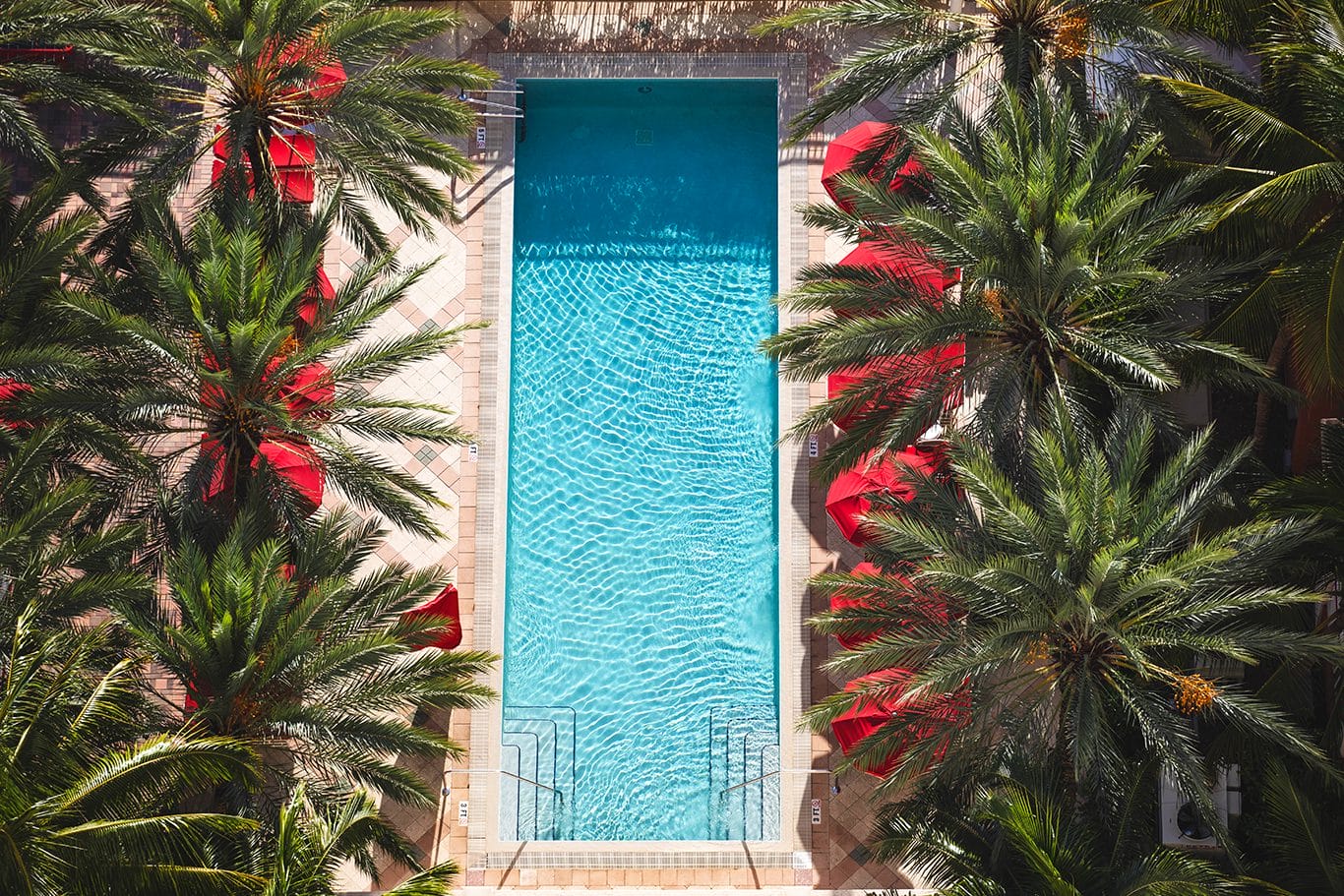 ACQUALINA-BK-136CROPPED