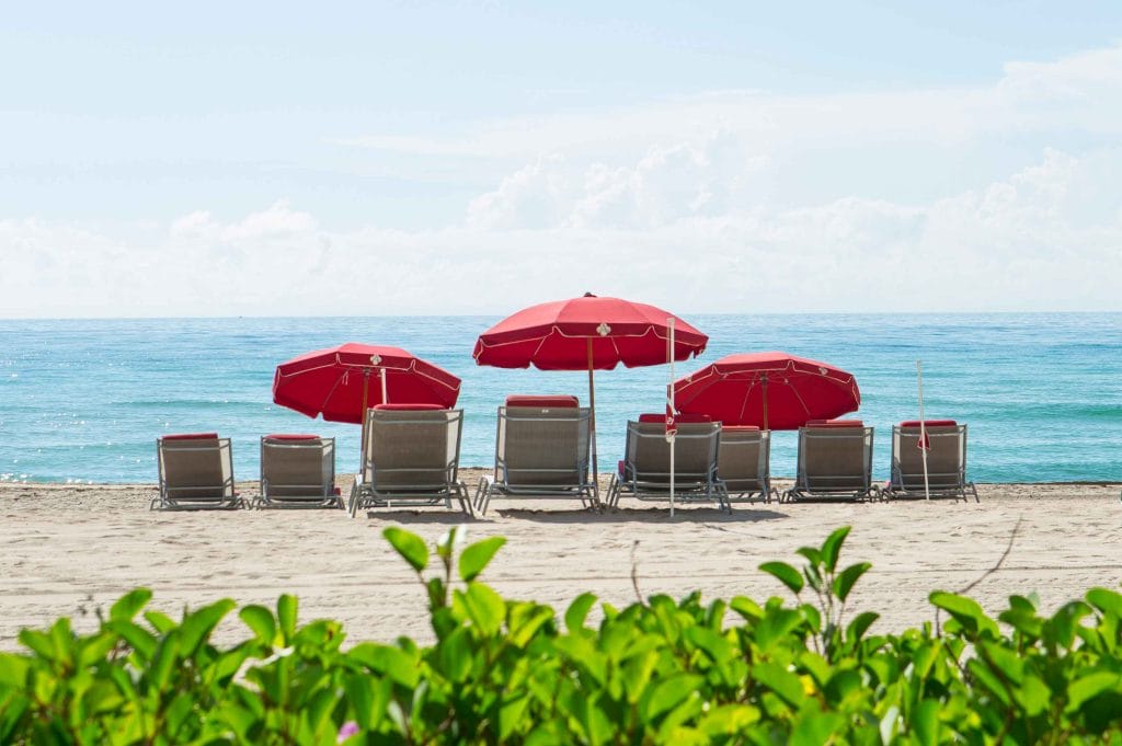 5 Reasons to Plan Your Spring Break in Miami