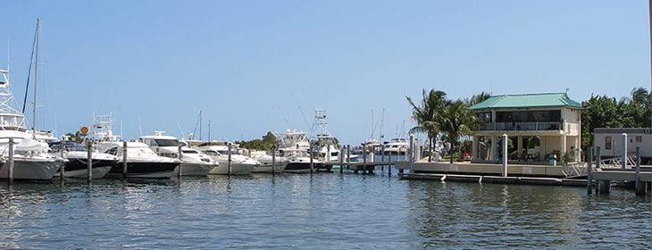 Coconut Grove
