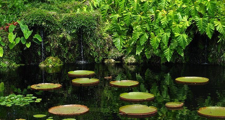 Fairchild Tropical Gardens