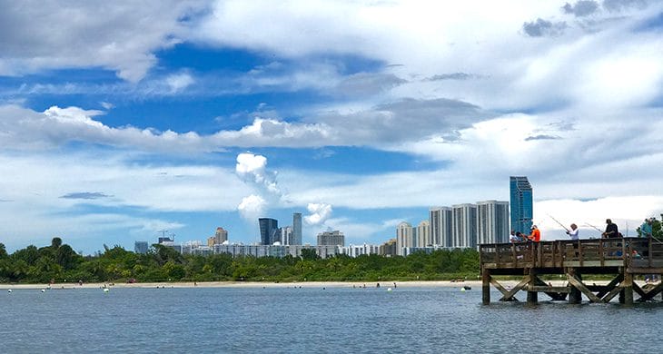 Miami skyline on the water