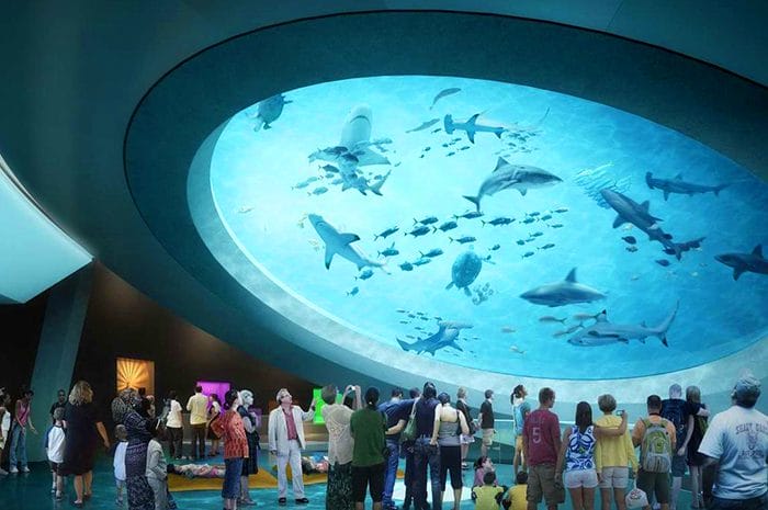 CITY GUIDE: The NEWEST and most FAMILY-FRIENDLY attractions in MIAMI