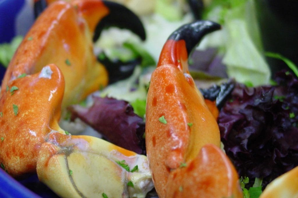 Setting the Table for Florida Stone Crab Season