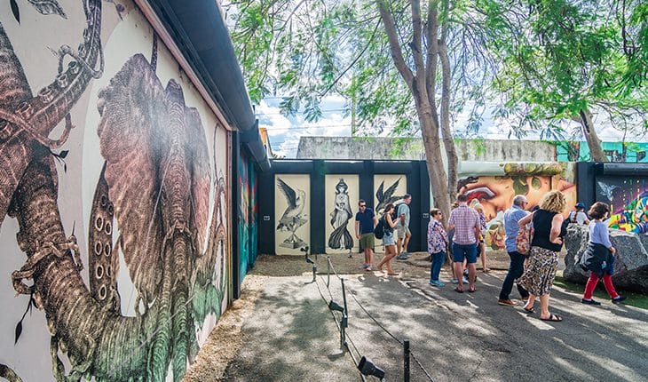 The Wynwood Story: Local Artists Make Their Mark