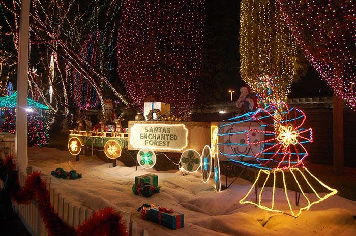 Santa’s Enchanted Forest