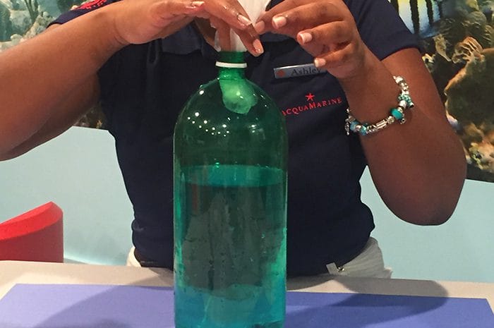 Fill your water bottle