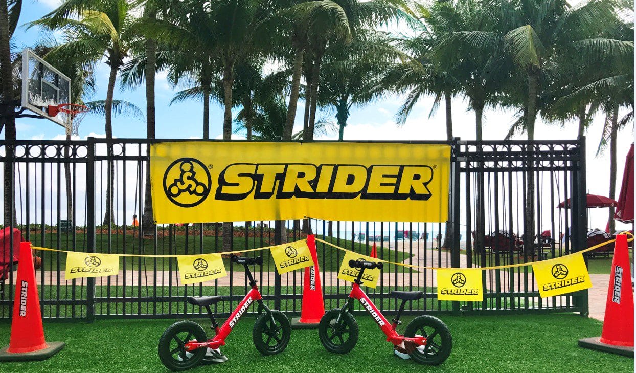 The Strider Adventure