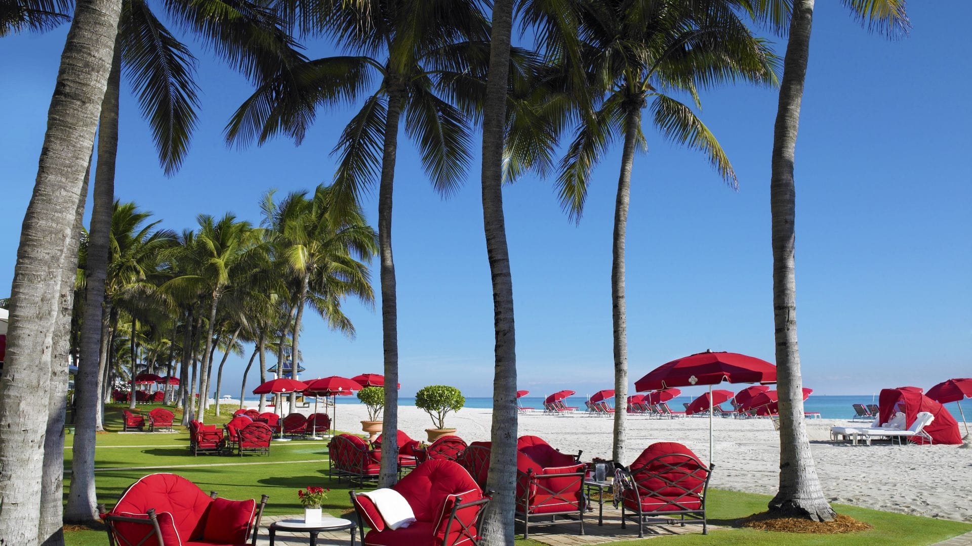 Luxury beachfront lounge area with palm trees and ocean views at Acqualina Resort
